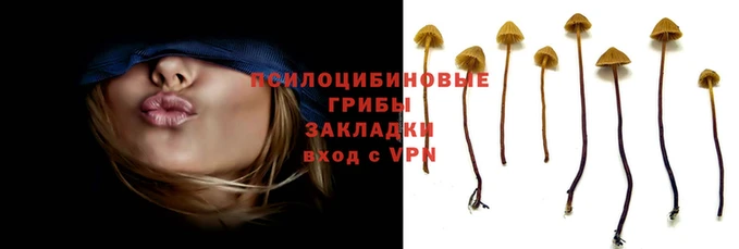 прущие крисы Абаза