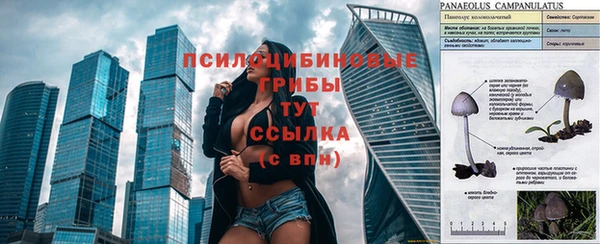 мяу мяу мука Алексин