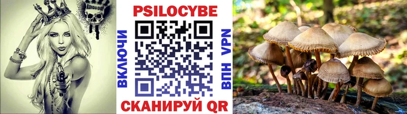 МЕГА онион  Туран  Псилоцибиновые грибы мухоморы 